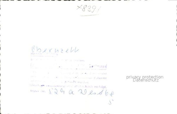 Pferde Obernzell – Bild 2