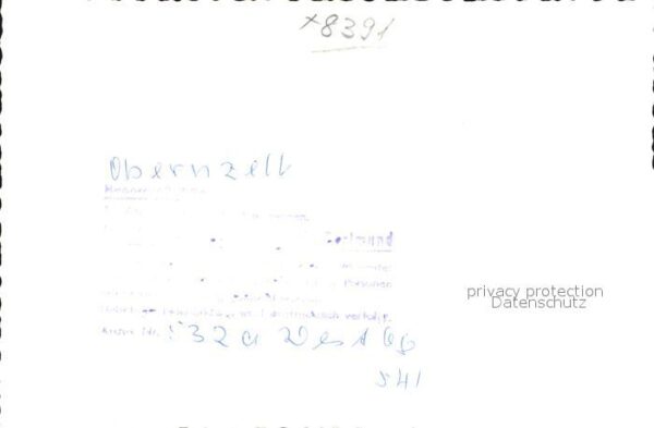 Pferde Obernzell – Bild 2