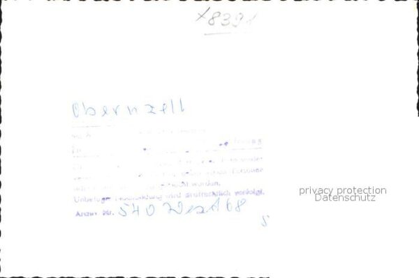 Pferde Obernzell – Bild 2