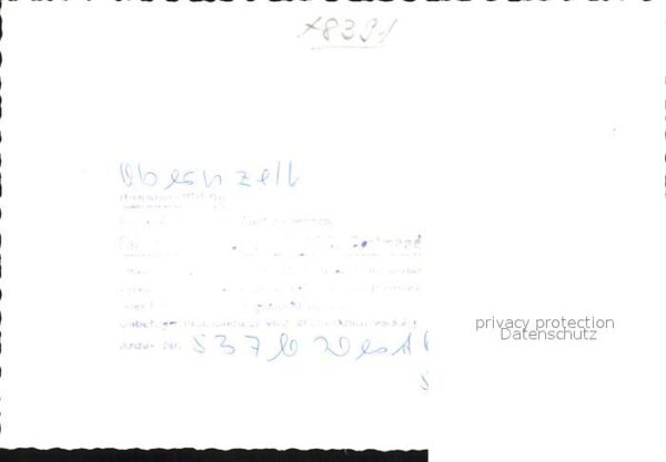 Pferde Obernzell – Bild 2