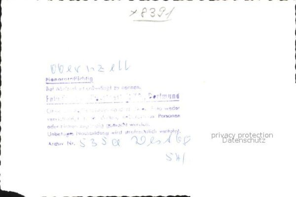 Pferde Obernzell – Bild 2