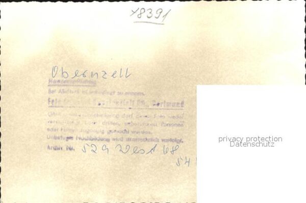 Pferde Obernzell – Bild 2