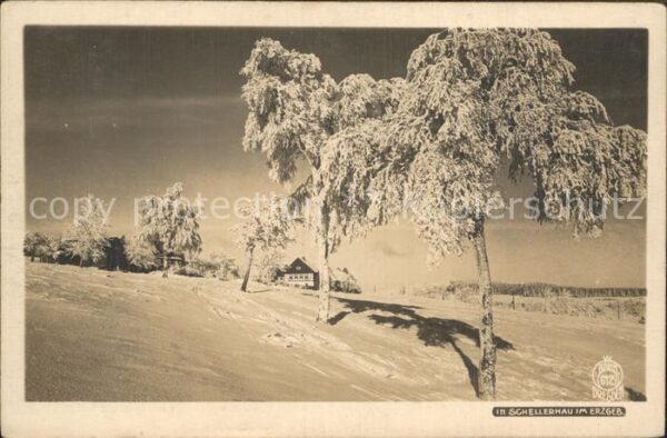 Foto Hahn Nr. 6129 Schellerhau Erzgebirge