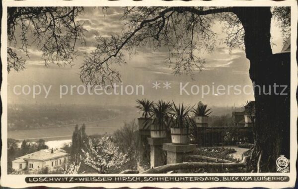 Foto Hahn Nr. 4315 Loschwitz Weisser Hirsch Blick vom