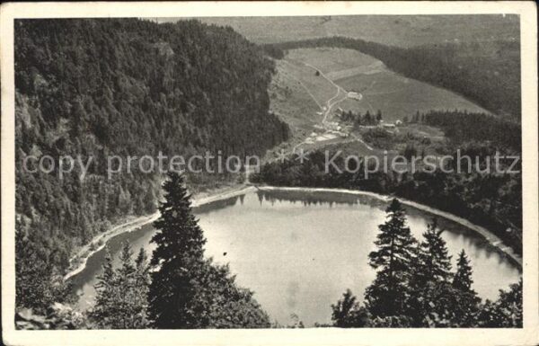 Feldberg Schwarzwald Feldsee