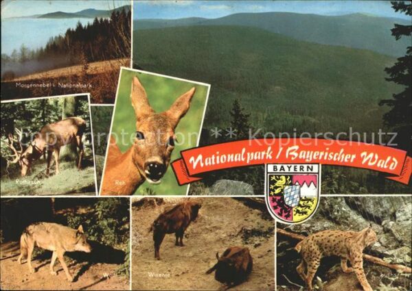 Grafenau Niederbayern Nationalpark Bayrischer Wald