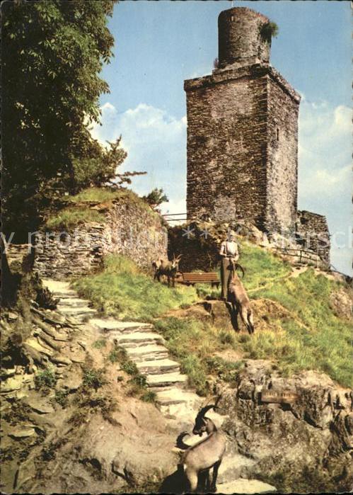 Falkenstein Taunus Burg Falkenstein