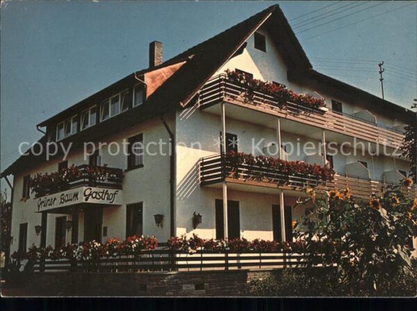 Heuweiler Gasthof Pension Grüner Baum