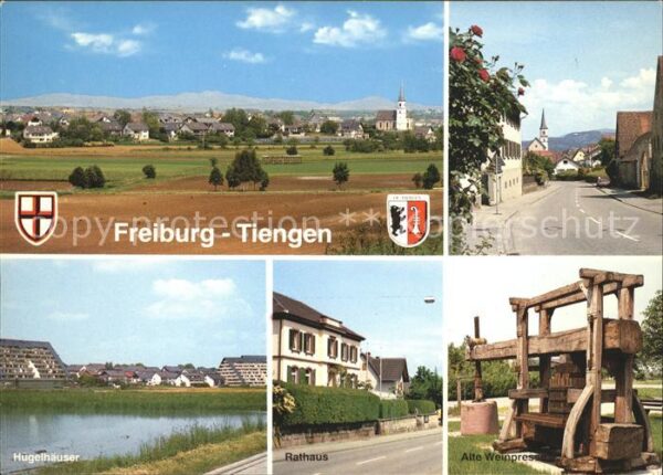 Freiburg Breisgau Tiengen Wappen Weinpresse Rathasu Hügel