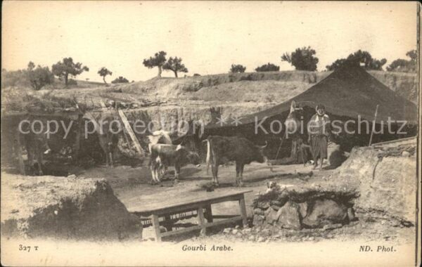 Kuehe Gourbi Arabe