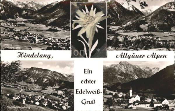 Edelweiss Hindelang Allgäuer Alpen Hinterstein Ba
