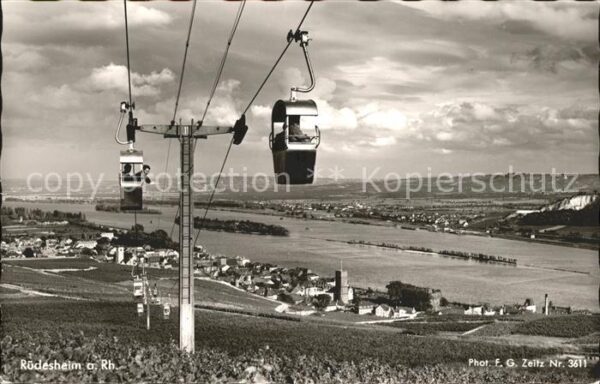 Foto Zeitz F.G. Nr. 3611 Seilbahn Rüdesheim a. Rh.