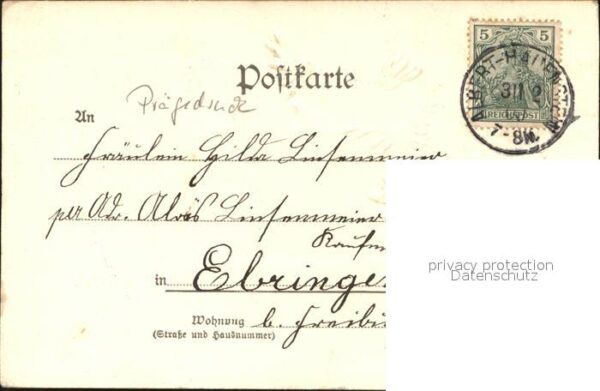 Neujahr Blumen – Bild 2