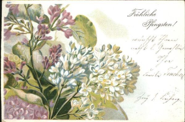 Pfingsten Pentecost Pentecote Blumen