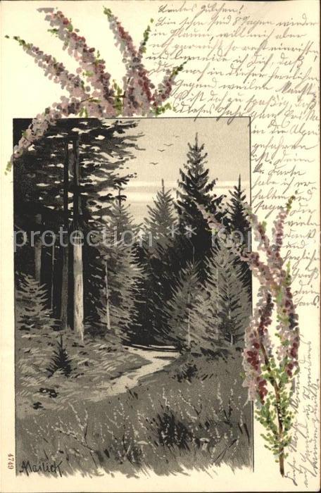 Mailick Nr. 4749 Bäume Wald