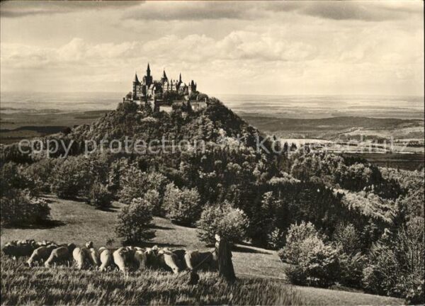 Hirte Schafe Burg Hohenzollern