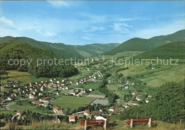 Muenstertal Schwarzwald Panorama