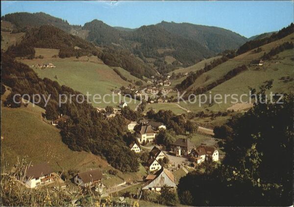 Muenstertal Schwarzwald Panorama