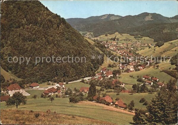 Muenstertal Schwarzwald Panorama Rotenbuck