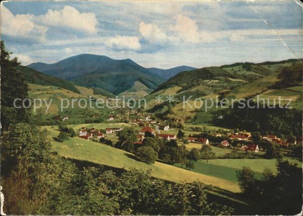 Muenstertal Schwarzwald Panorama