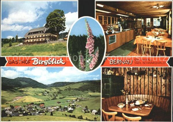 Bernau Schwarzwald Gasthaus Bergblick Panorama