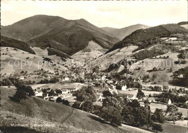 Muenstertal Schwarzwald Panorama