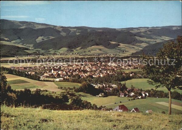 Kirchzarten Fliegeraufnahme