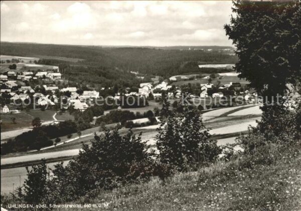 Waldshut Tiengen Rhein Uhlingen