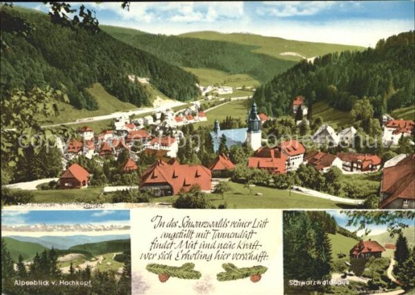 Todtmoos Panorama Alpen Schwarzwaldhaus