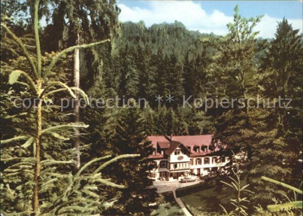 Sulzburg Waldhotel Bad Sulzburg Roland Amori