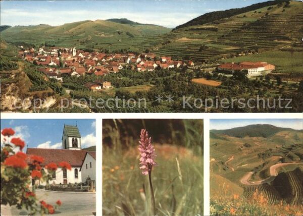 Oberbergen Vogtsburg Panorama Kirche