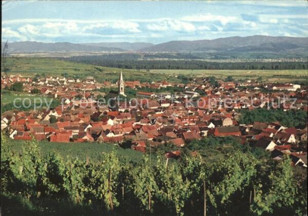 Ihringen Panorama