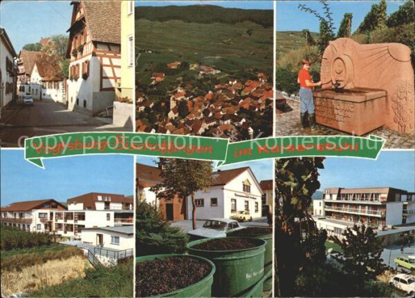 Bischoffingen Ansichten Weinernte