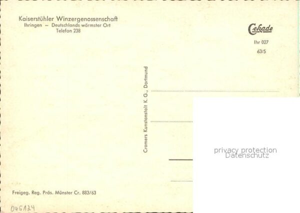 Ihringen Fliegeraufnahme Kaiserstühler Winzergen – Bild 2