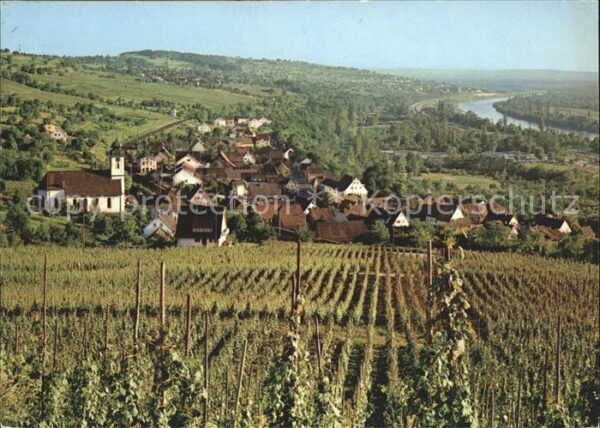 Bad Bellingen Panorama mit Rhein