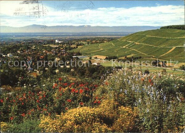 Badenweiler Panorama mit Weinbergen Vogesen