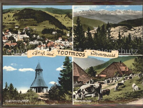 Todtmoos Panorama Alpen Kühe Hochkopfturm