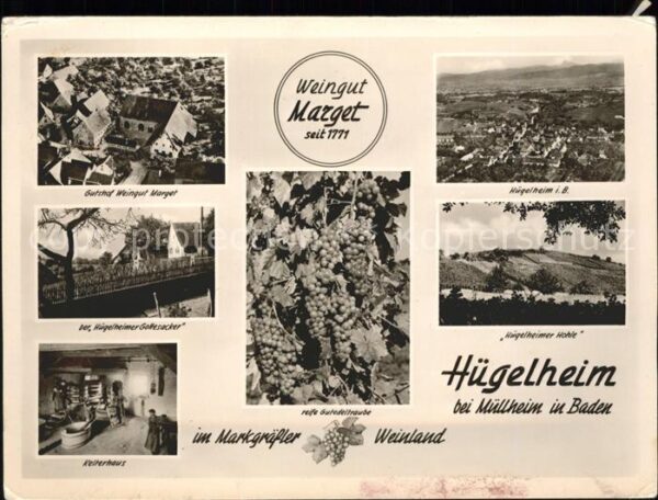 Huegelheim Ansichten Weingut Marget