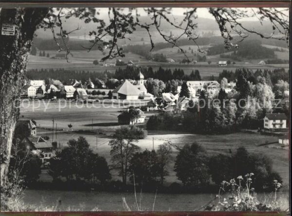 Hinterzarten Panorama mit Pfarrkirche