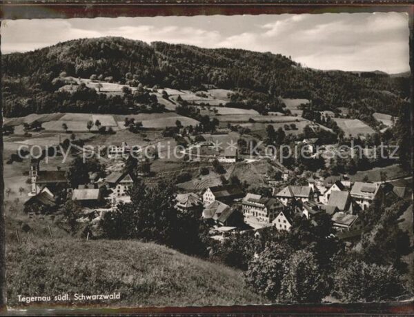 Tegernau Panorama