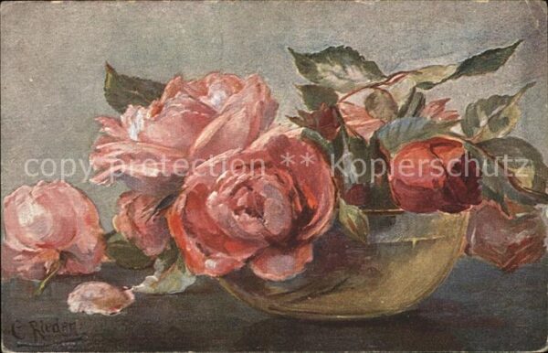 Kuenstlerkarte C. Rieder Rosen