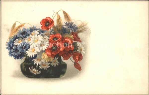 Blumen Mohnblumen