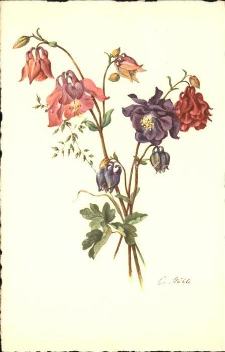 Kuenstlerkarte Blumen C. Stähle