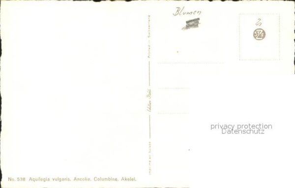 Kuenstlerkarte Blumen C. Stähle – Bild 2