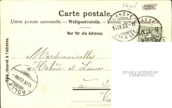 Voegel – Bild 2