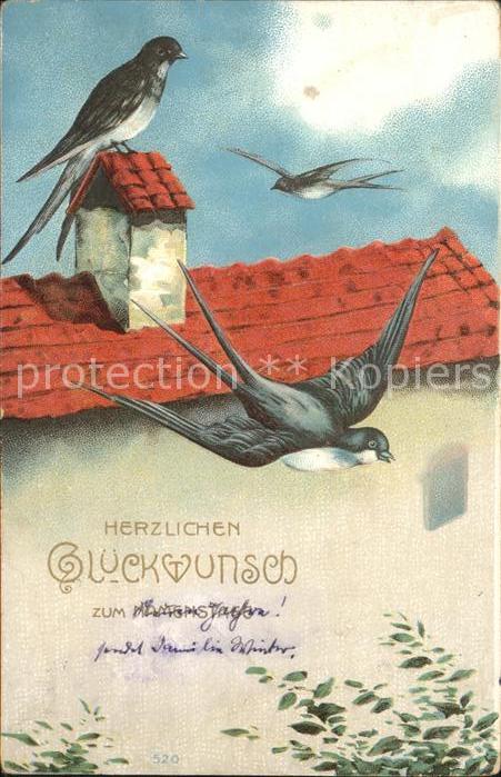 Namenstag Namenskarte Vögel Schwalbe