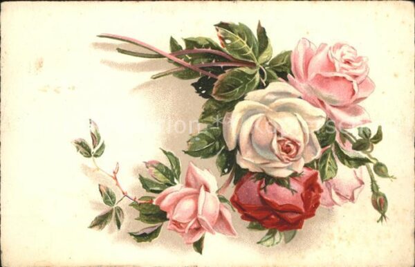 Rosen
