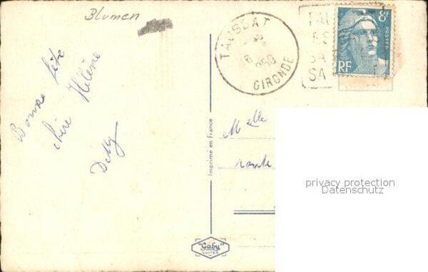 Rosen – Bild 2