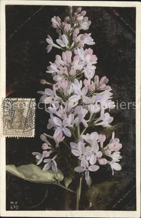 Blumen