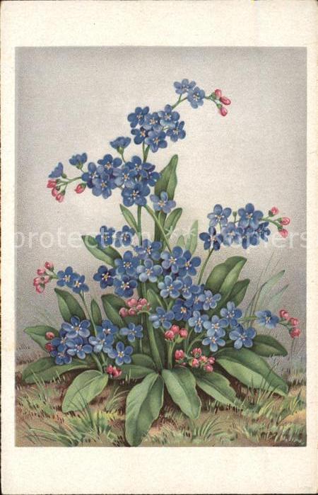 Blumen Künstlerkarte